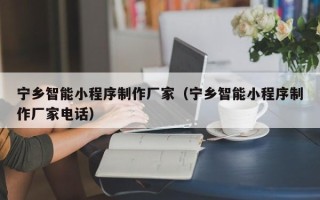 通许宁乡智能小程序制作厂家（宁乡智能小程序制作厂家电话）
