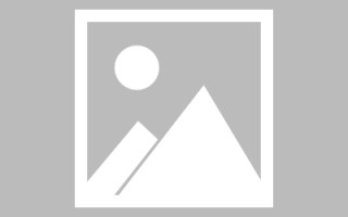 通许关于网站建设免费（关于网站建设免费的通知）